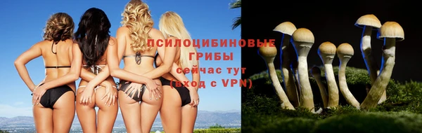 индика Армянск