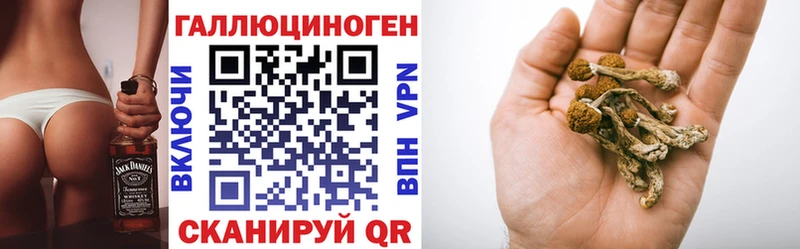 Галлюциногенные грибы Psilocybe  мега ссылка  Нея  хочу наркоту 