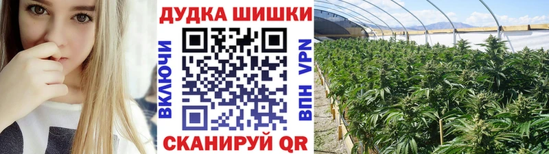 Бошки Шишки MAZAR  omg   Нея 